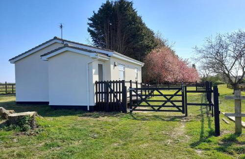 The Paddocks - Foto 17