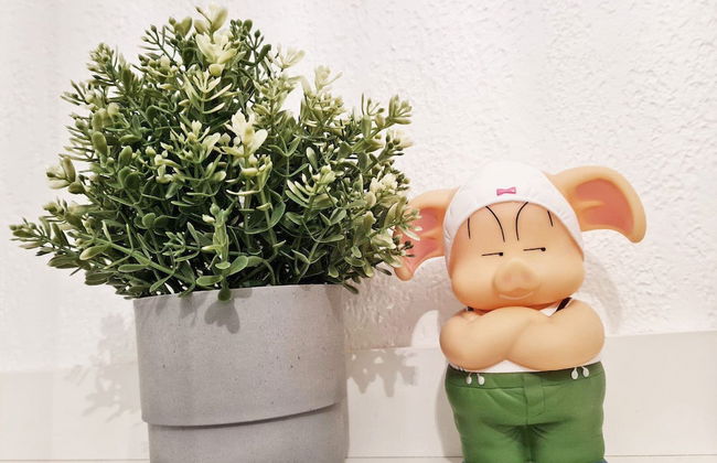 GregBnb - Le Berthier - Toulon Est - Foto 24