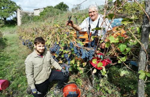 Agriturismo Podere Tegline - Foto 39