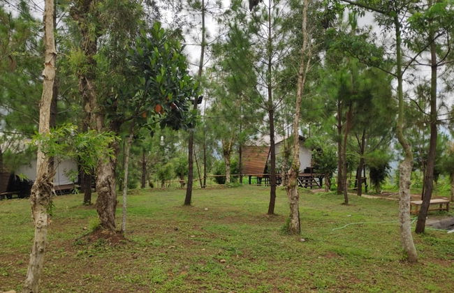 Bukit Lintang Sewu Domping - Foto 16