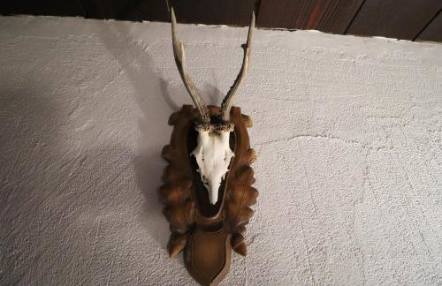 Villa Pepeljuga kuća za odmor - Foto 19