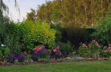 Sowi Dworek - Foto 17