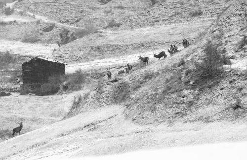 Casa Le Rondini - Photo 71