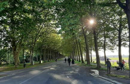 F3 Central, Bright and Quiet in Caen - Photo 11