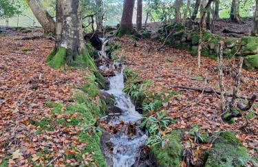 Ryan's Cottage - Photo 47