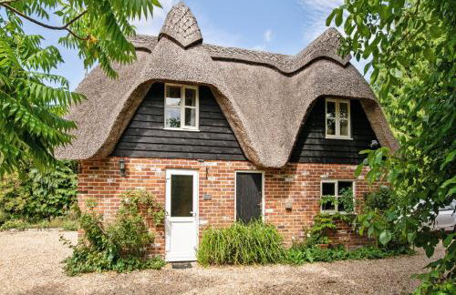 Charming thatched cottage near New Forest - Foto 20