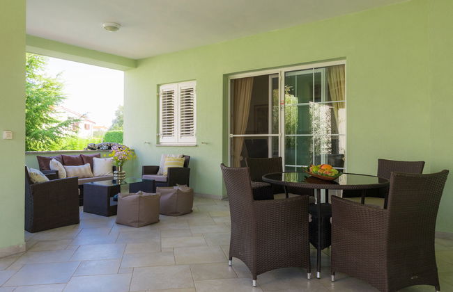 Salamander - Foto 20