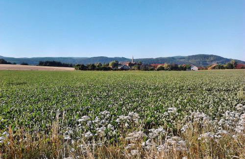 Monteurwohnung Langelsheim 6 Personen - Foto 9