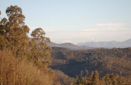 La Casa de la Abuela Milagros - Photo 33