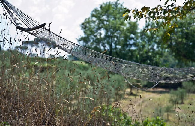 Agriturismo Terrasabina - Foto 50