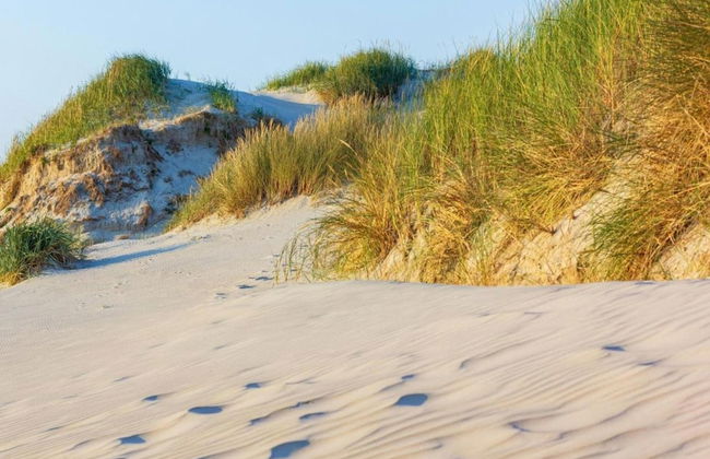 Bungalow in North Holland Near North Sea Coast - Foto 37