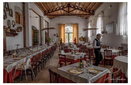 Fattoria Manostalla Villa Chiarelli - Foto 69