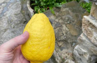 ANTICA BAITA - Foto 44