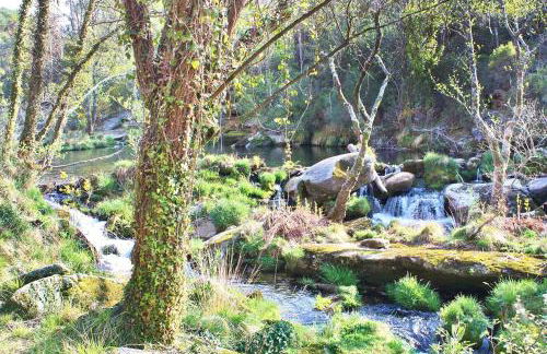 Te Cuento 3 Xesteira - Foto 28