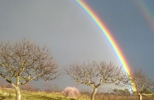 Casa Rural la Vallejera - Foto 81