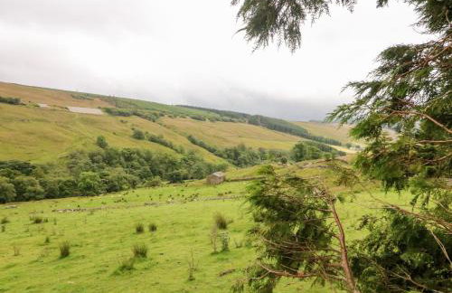 Garth Gill - Photo 26