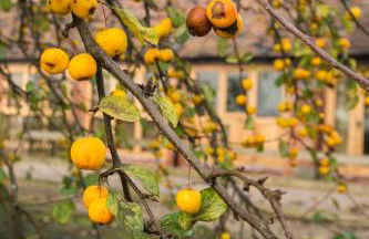 Paddock Cottage - Foto 2