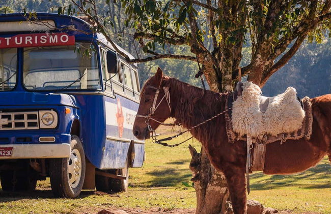 Tour en jardineira por Linha Ávila - Foto 1