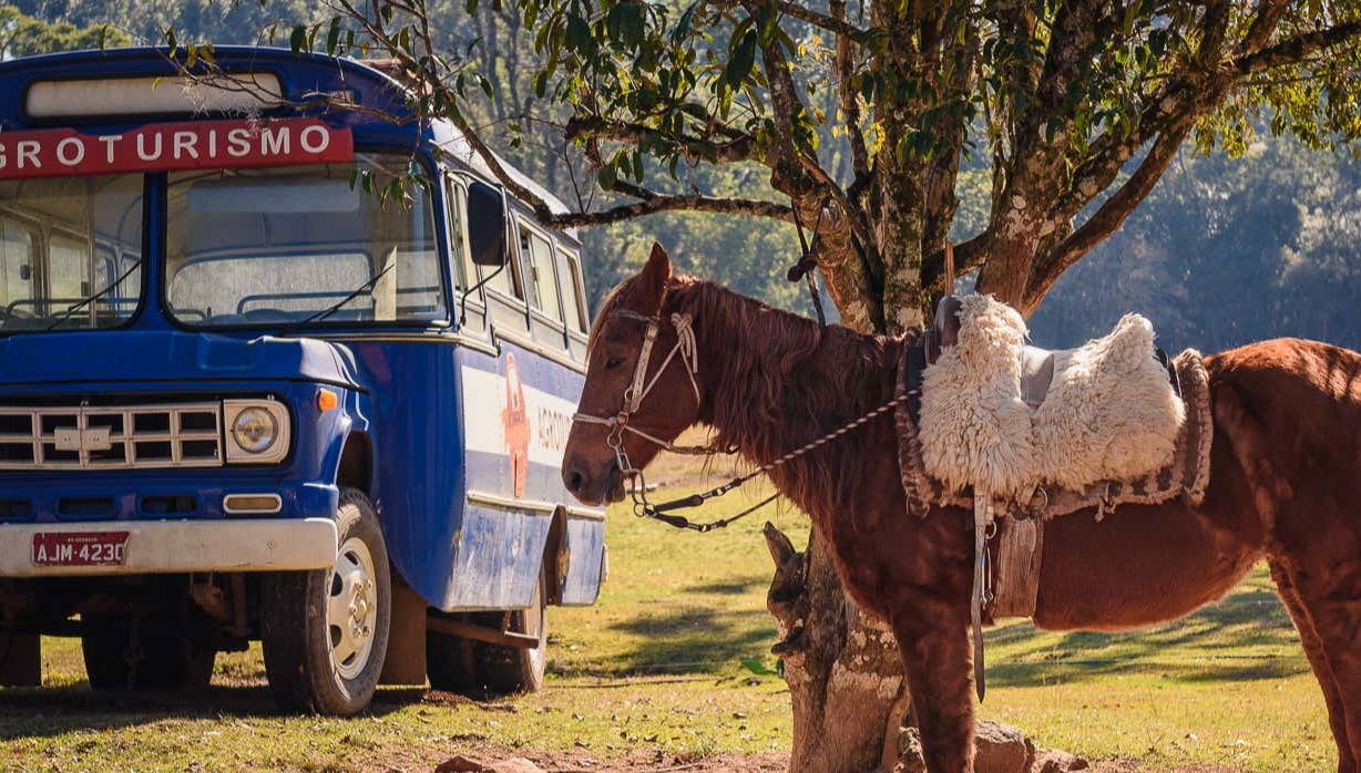 Visite de Linha Ávila en jardineira