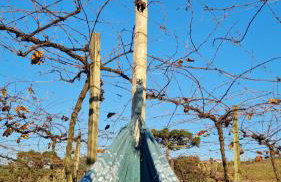 CABANAS LE VIGNE - Foto 59