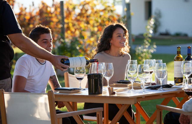 Visita ao vinhedo da Finca La Emperatriz - Foto 6