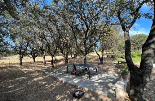 Résidence Casa Cintrone - Foto 78