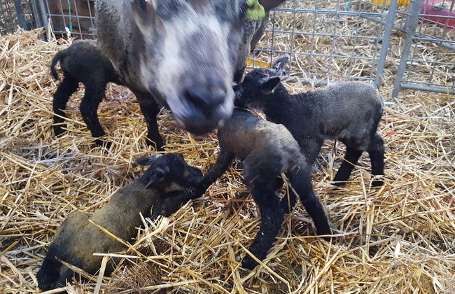 Idyllic Rural Home With Bikes - Foto 41
