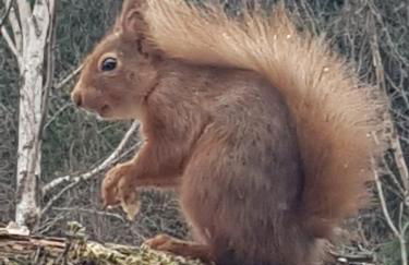 Faichemard Farm Chalets - Foto 15