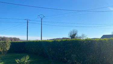 Logement spacieux 70m2 - Photo 5, Garden