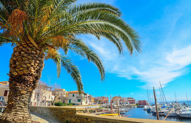 Capo Falcone Apartments - Foto 17