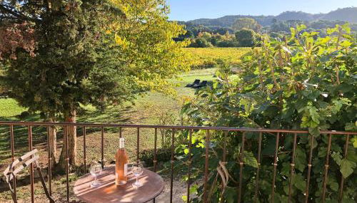 La Magnanerie - Foto 4