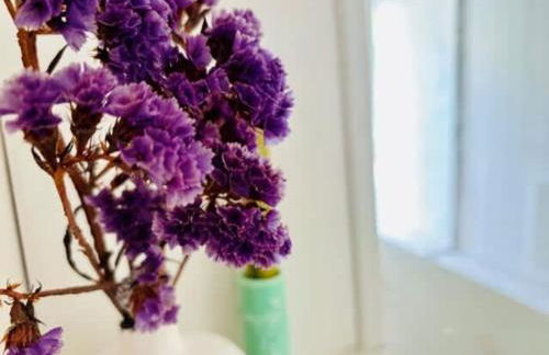 Charming fisherman's cottage in Ars en Ré - Foto 20