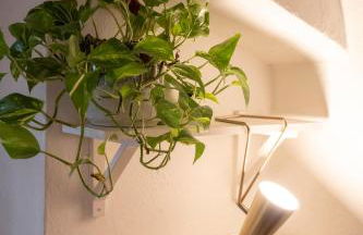 Arco del Calidarium - Pantheon - Photo 29