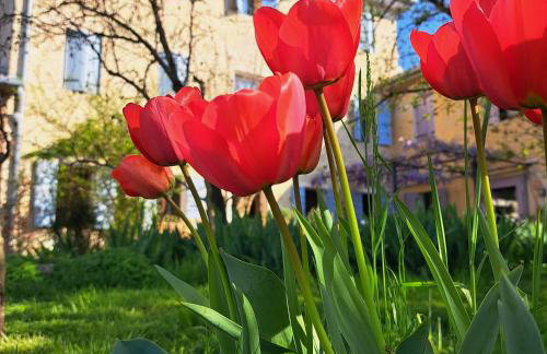 Casadesergio - Photo 73