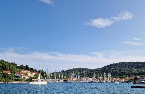 Apartment Opaćac Veli Iž - Foto 17