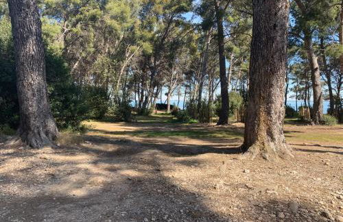 Maison de plage - Foto 48