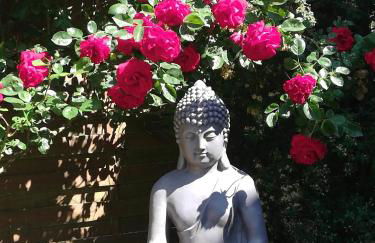 Studio & Gîte Zen de Beauval- 800 m du Zooparc - Photo 1