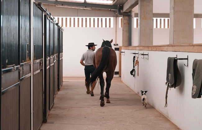 Lusitano Garden Villas - Foto 59