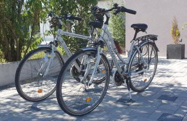 Les Alizés - Foto 12