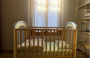 Renovated Old Manor House With Yard - Photo 17