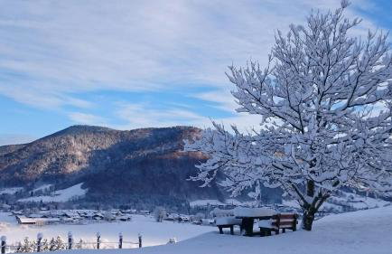 Maurerhof inkl. Chiemgaukarte - Photo 5