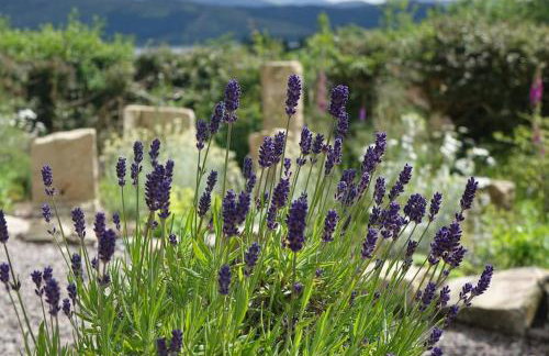 Stylish Scottish Manor, Coillemore House - Foto 27