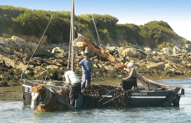 Stone House in Brittany Near the Sea - Foto 54