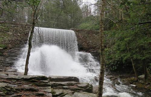 Nature's Paradise with Hot Tub and Fire Pit - Foto 38