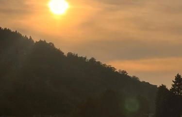 Mauersegler - Foto 11