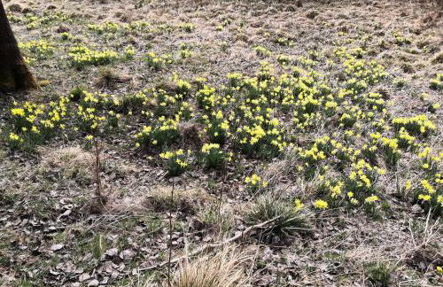 Ferienwohnung Biebes - Foto 25