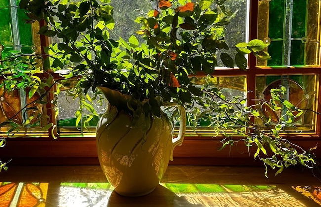 Dali ApartHotel - Foto 7