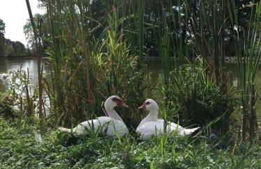 Schwabenhof Ferienwohnung II - Foto 11