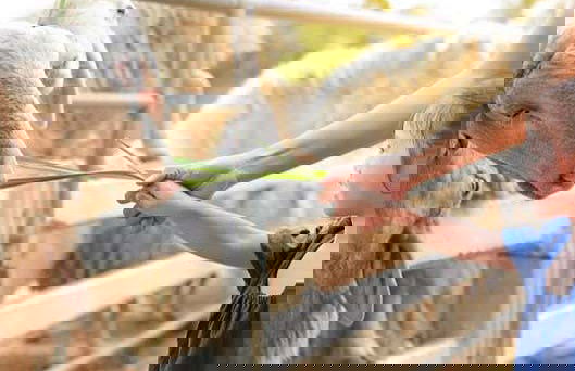 Oltremare Ticket - Photo 3