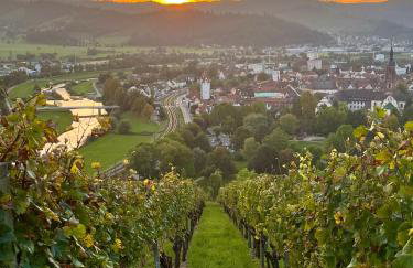 Coucou - Nest im Schwarzwald - Photo 20